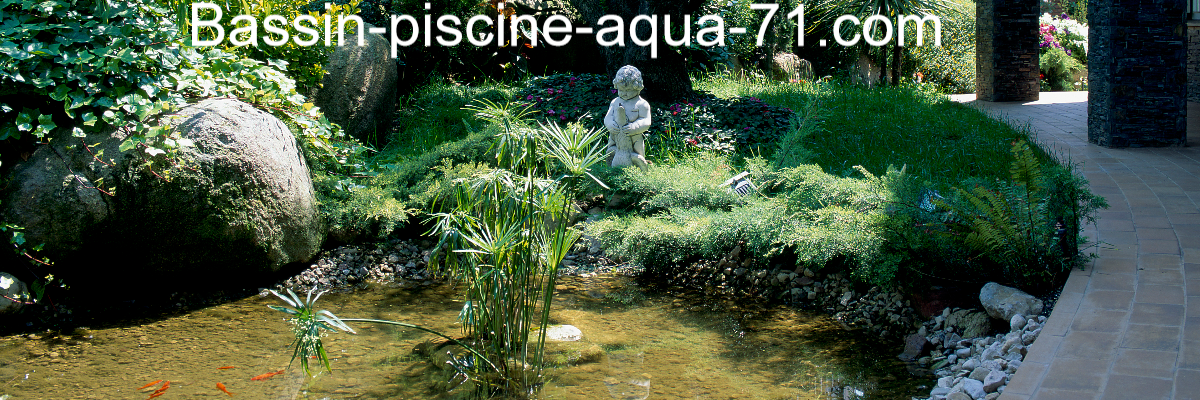 bassin-piscine-aqua-71.com